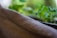 A textured brown fabric is shown, with blurred green foliage in the background, suggesting a natural or organic setting. The focus on the fabric emphasizes its woven pattern.
