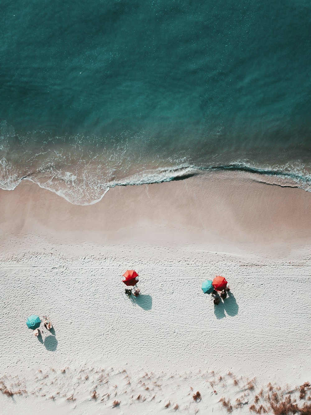 Fotografía a vista de pájaro de la orilla del mar