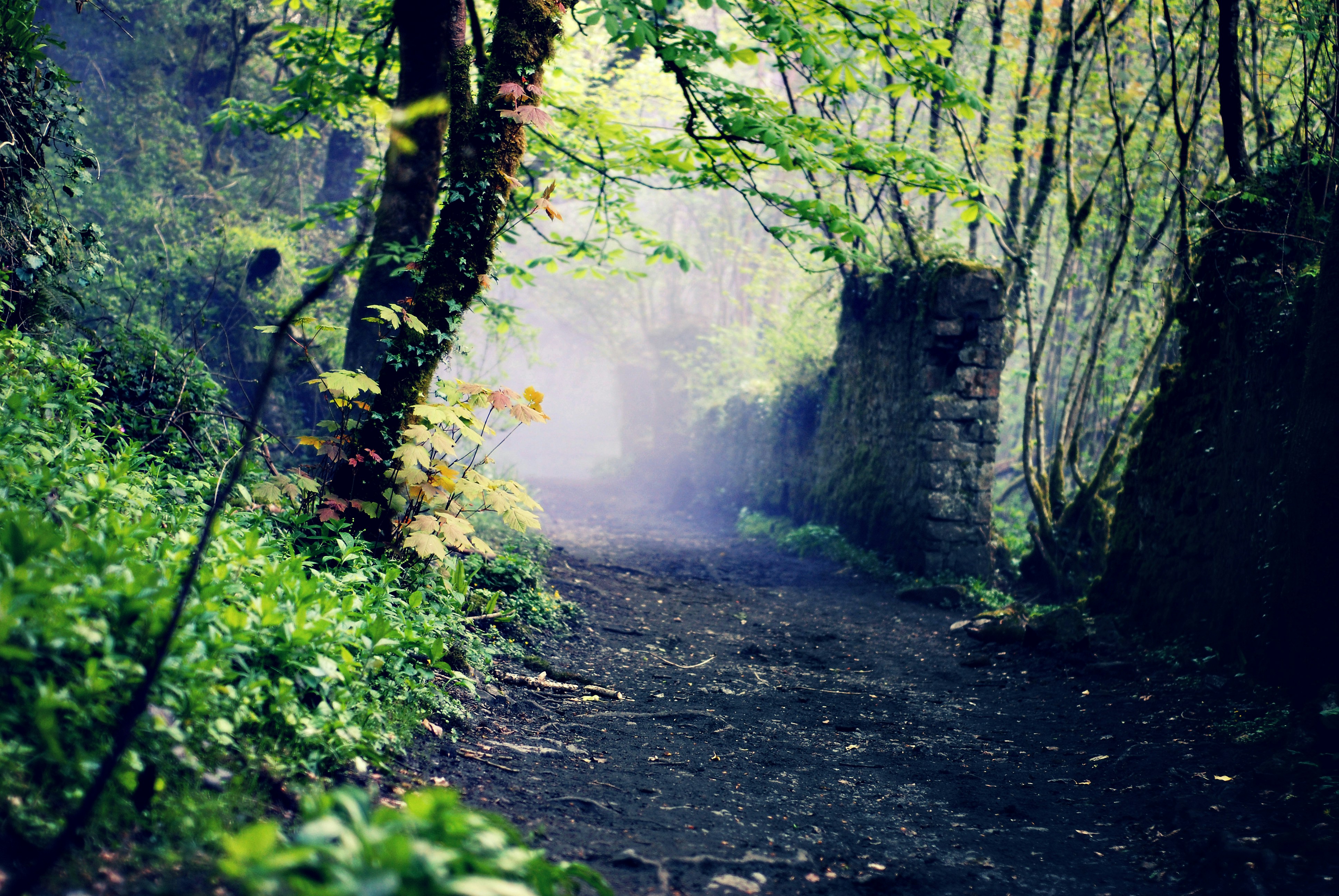 Whilst smoke grenading the smoke travelled spookily down the path we were on creating an eerie scene.
