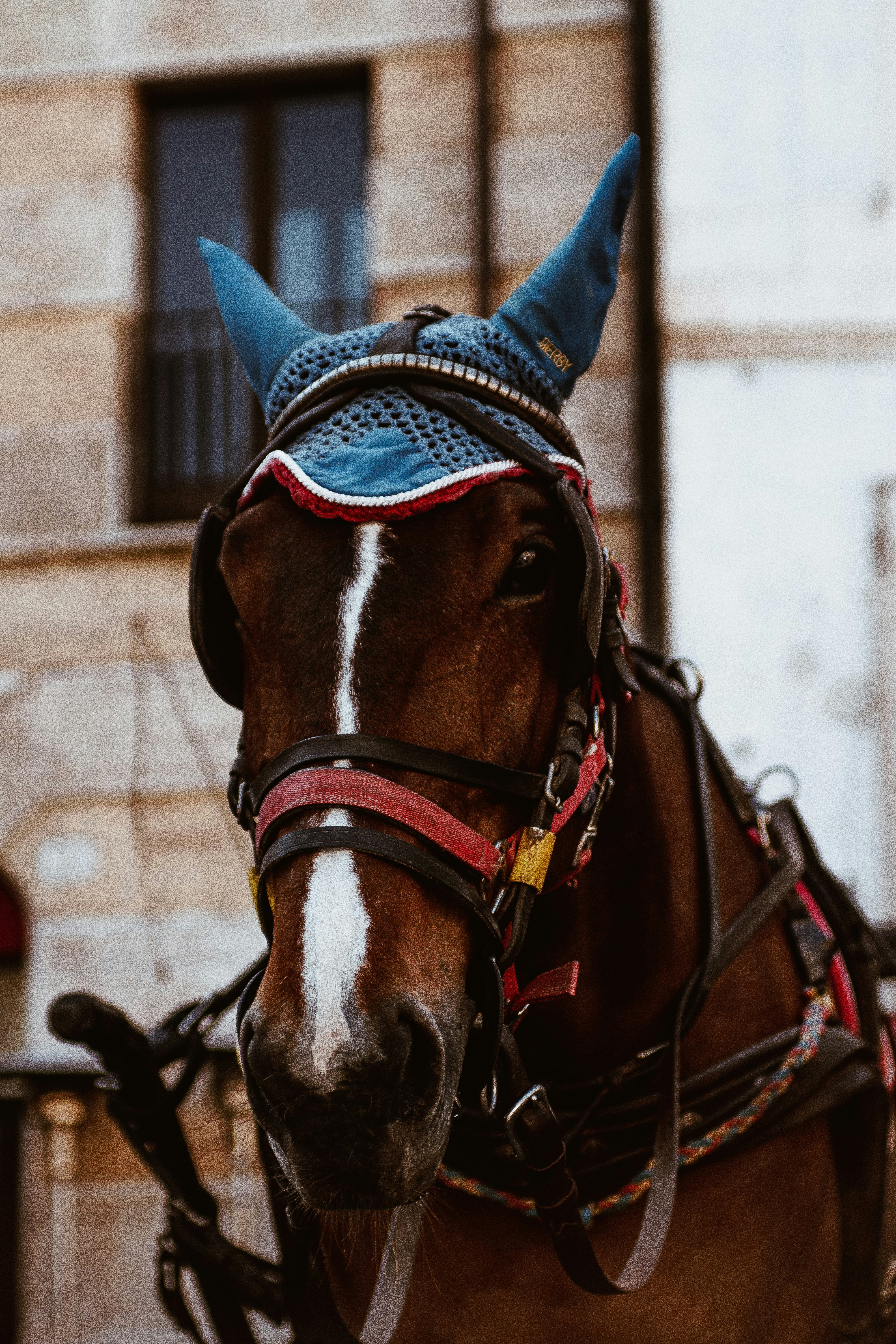 la créa'plaq pour bijoux en crin de cheval, plaque d'identité - Créa