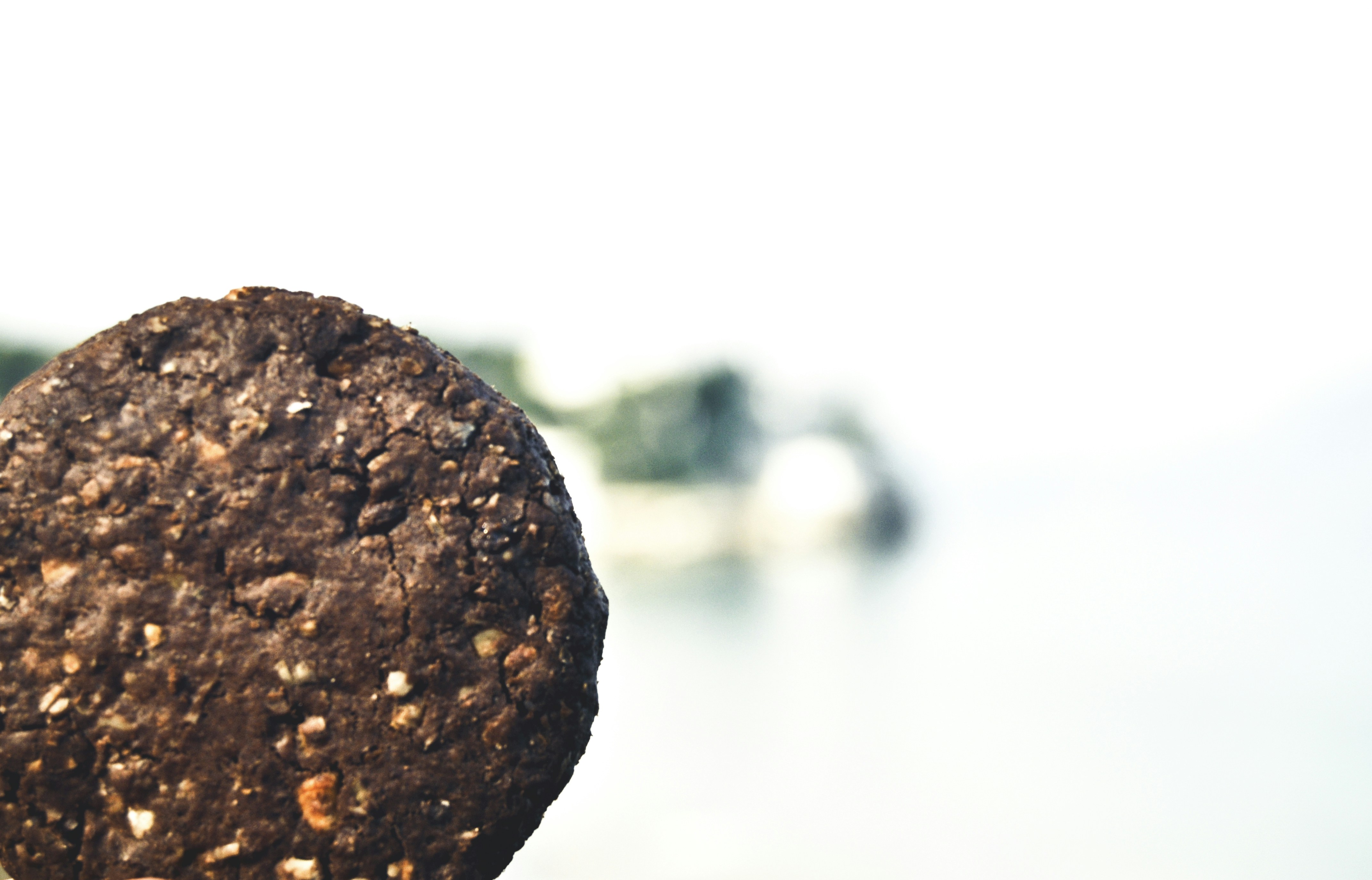 Choco Delight Cookie