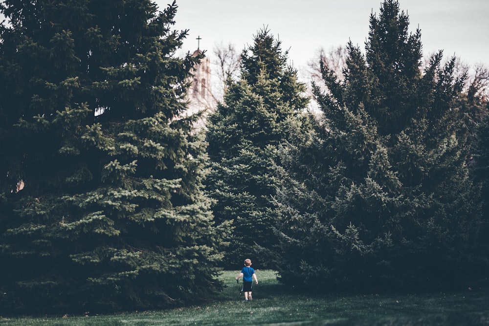bambino che cammina verso l'albero verde