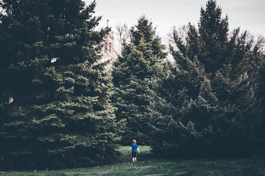 toddler walking towards green tree in Boys Town United States