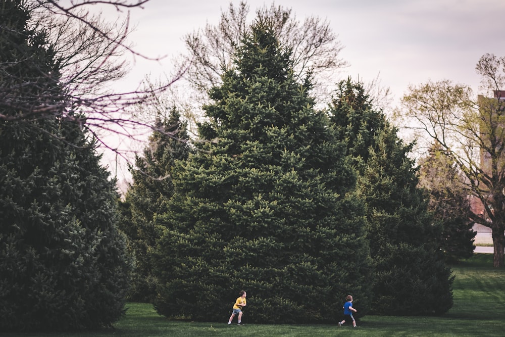 two boys running near green leafed trees