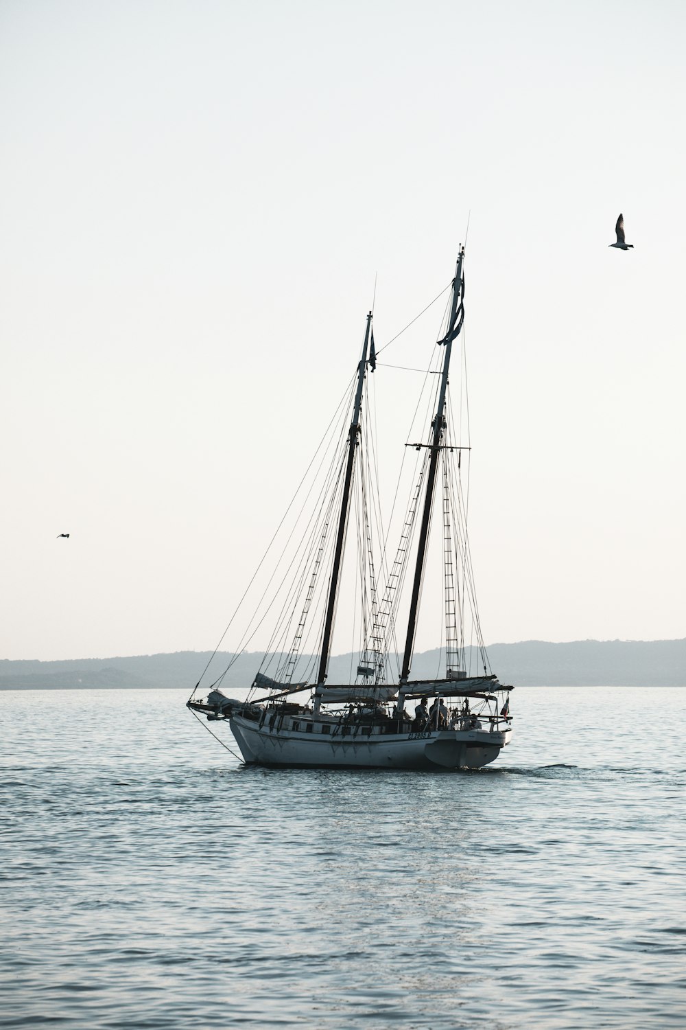 white boat on body of water