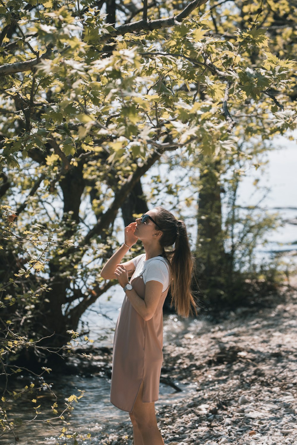 mujer sosteniendo gafas de sol negras mirando en el árbol