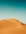 desert field