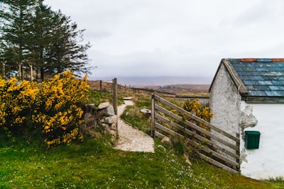 white house beside fence and tree during daytime