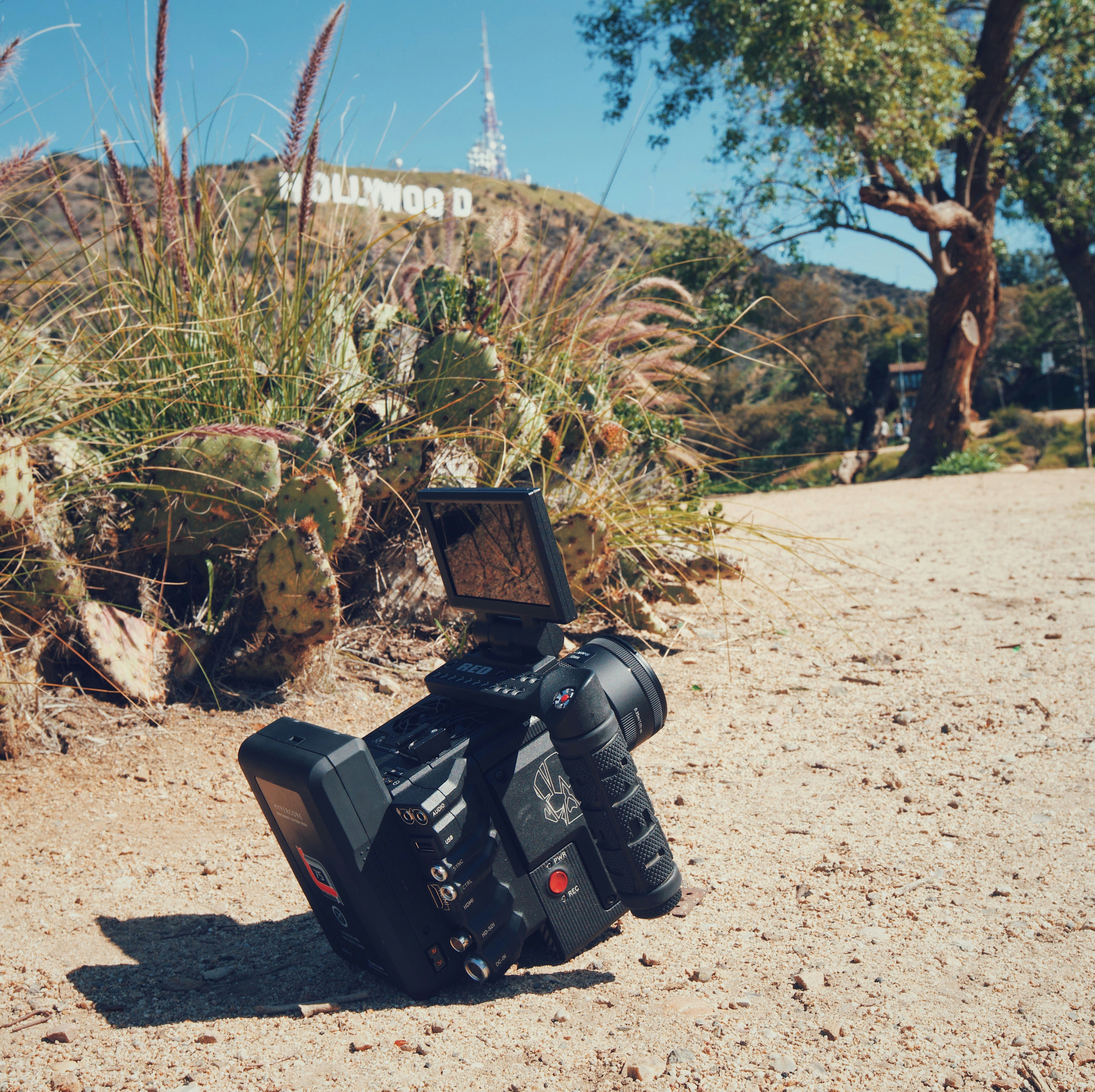 hollywood sign