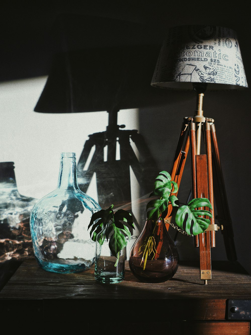 shallow focus photography of green plants on vase