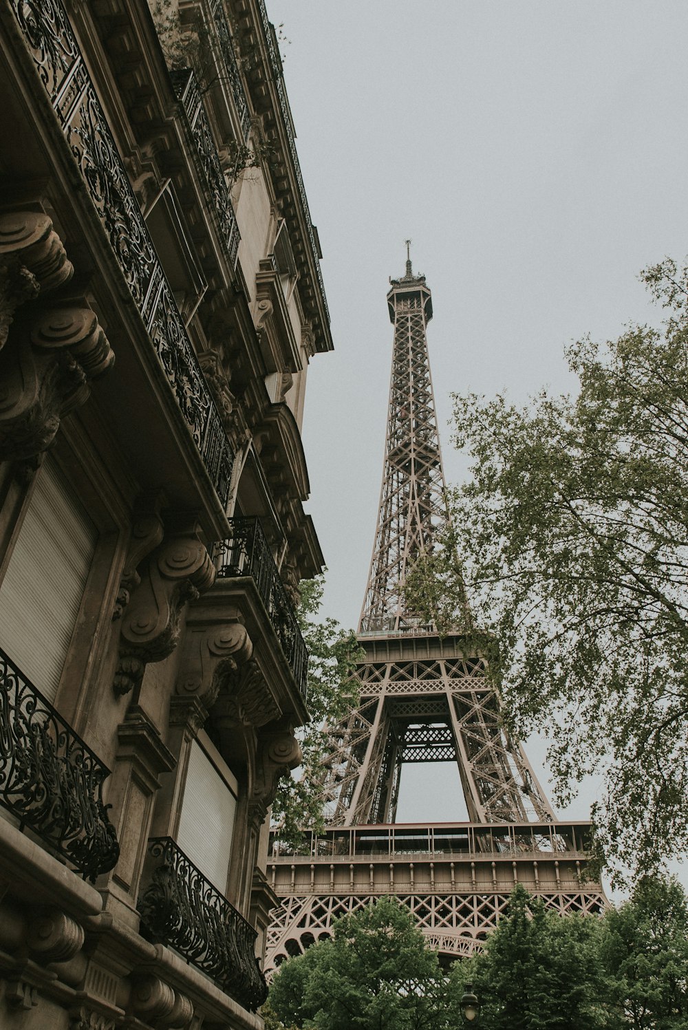 low-angle photography of Eiffel Tower, Paris