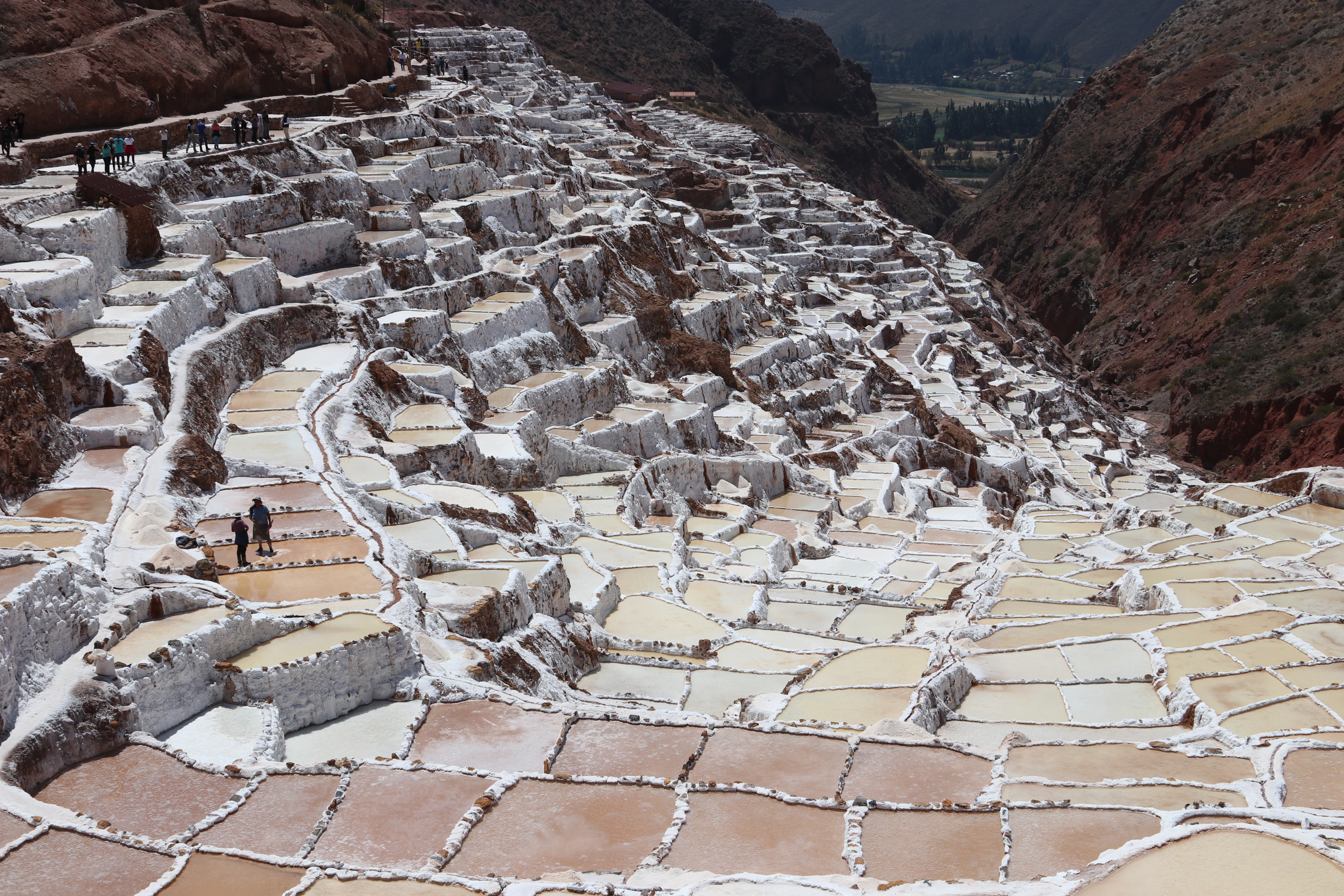 Hundreds of white salt pans on the hillside at Maras, with two small figures among them