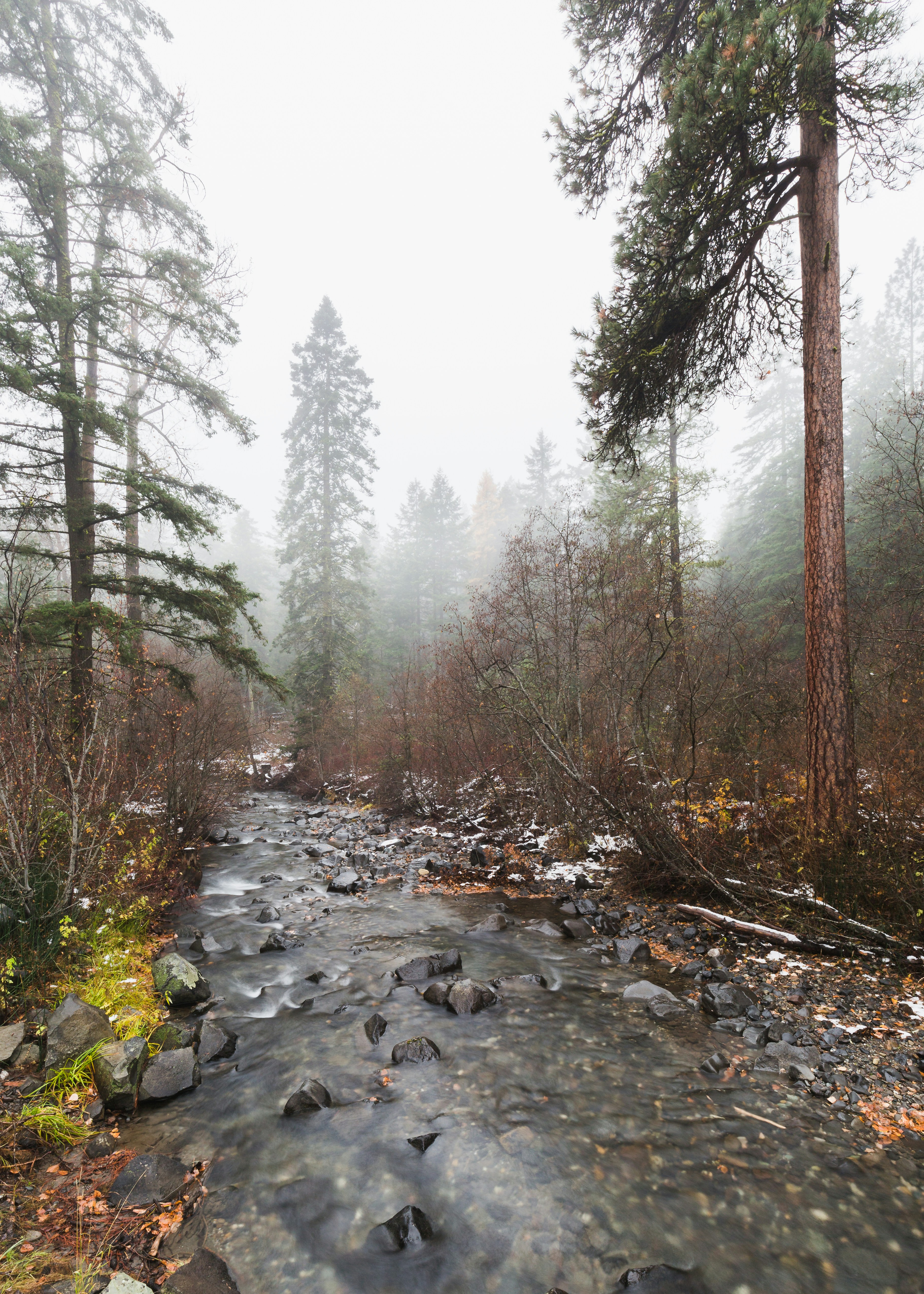 A foggy morning near Thorp, WA