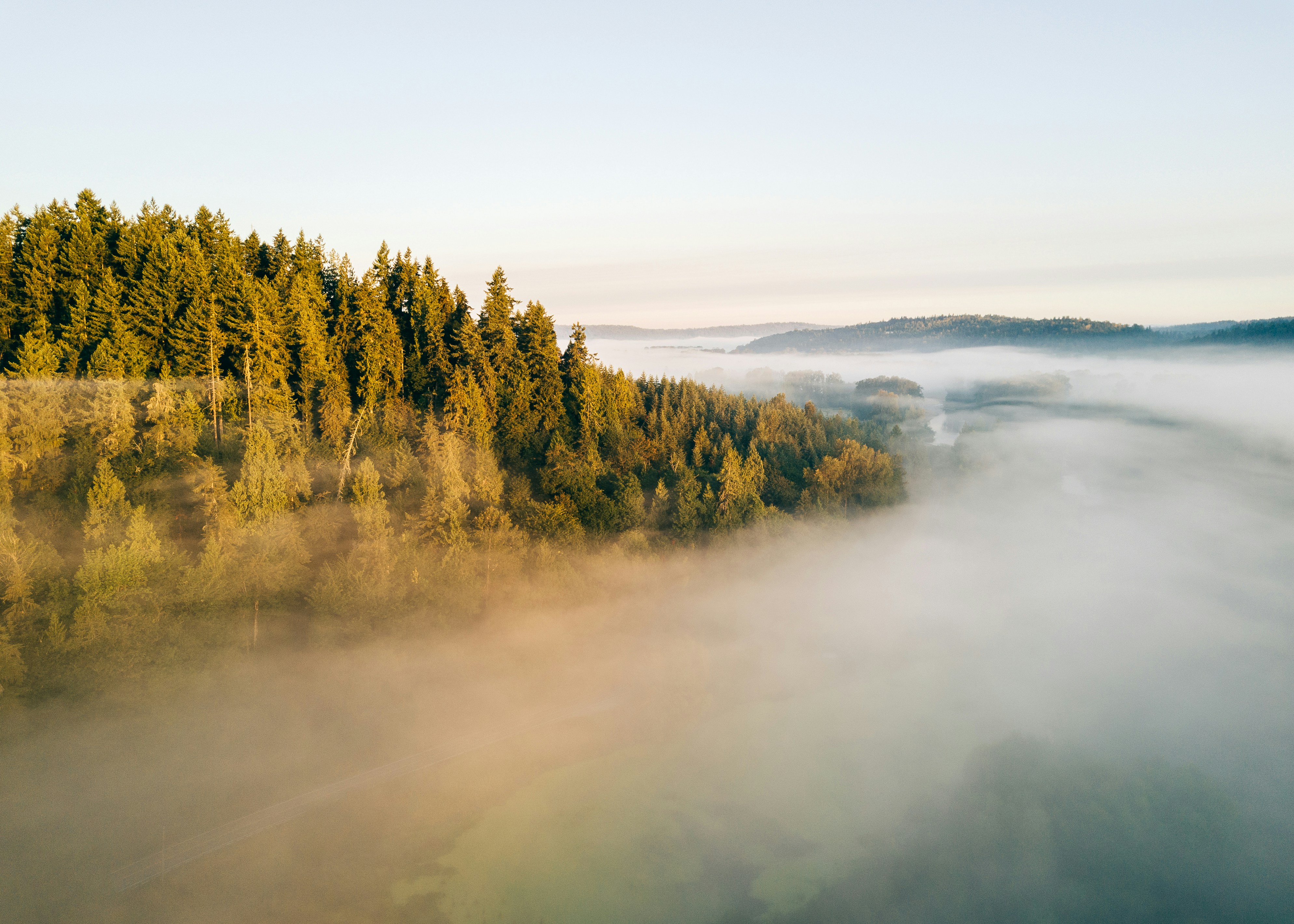 aerial photography of fog covered forest, A drone photo above the morning fog.</p><p>Carnation, WA