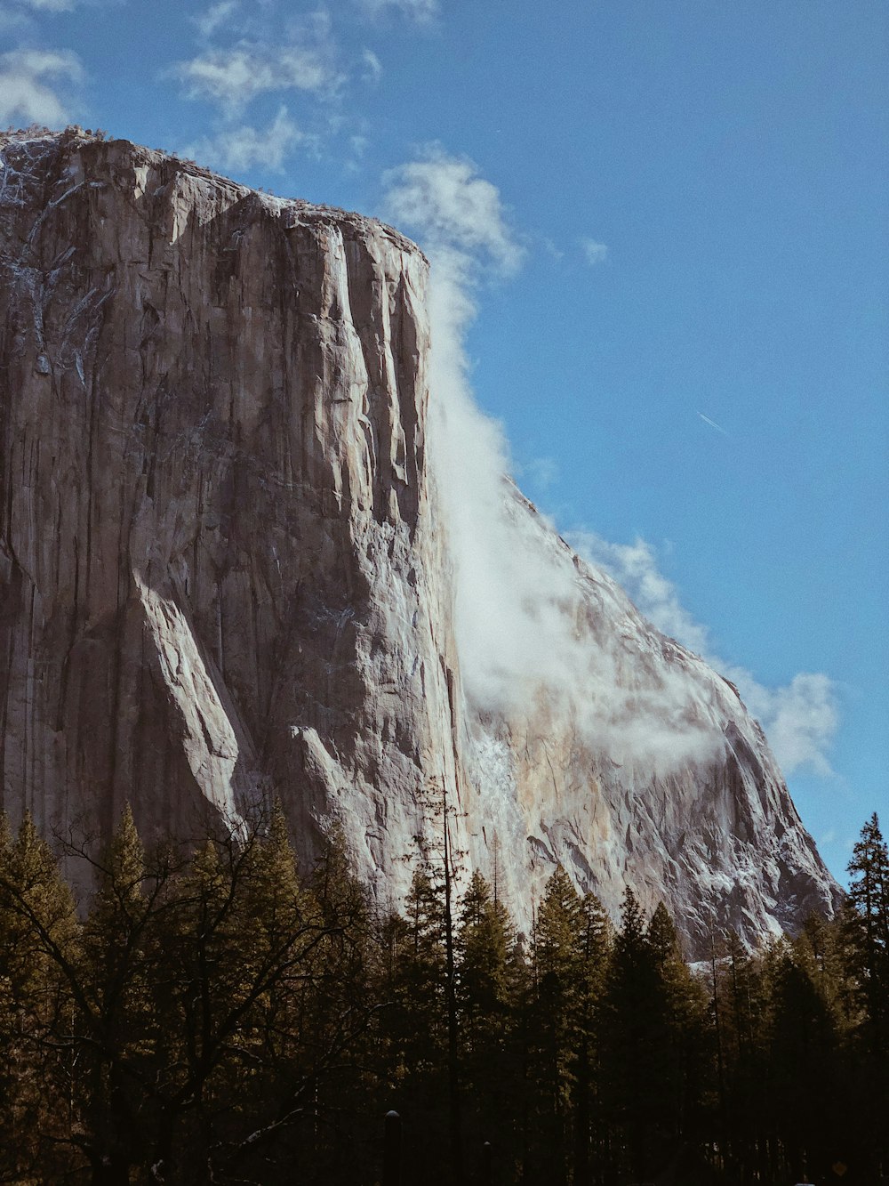 rock mountain near forest