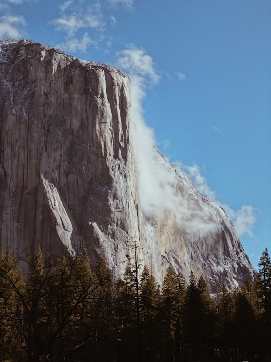 rock mountain near forest in Yosemite National Park United States