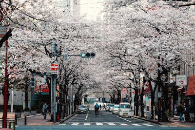 person riding bike on street tokyo google meet background