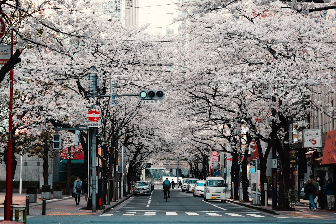Travel Tips and Stories of Tokyo in Japan