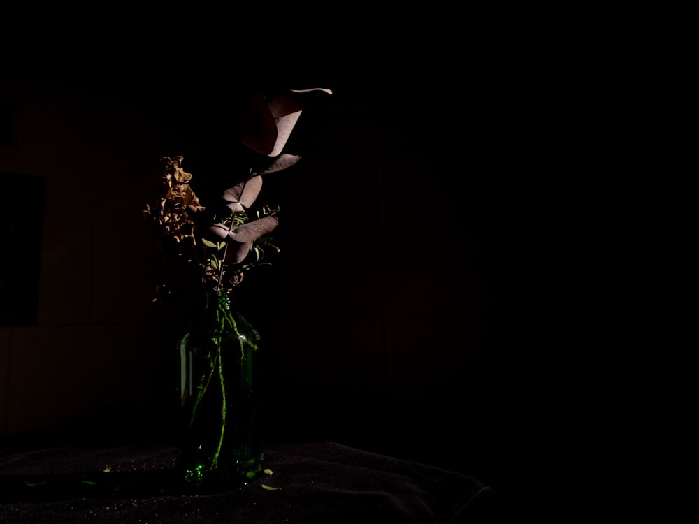 a dark room with a vase with flowers in it