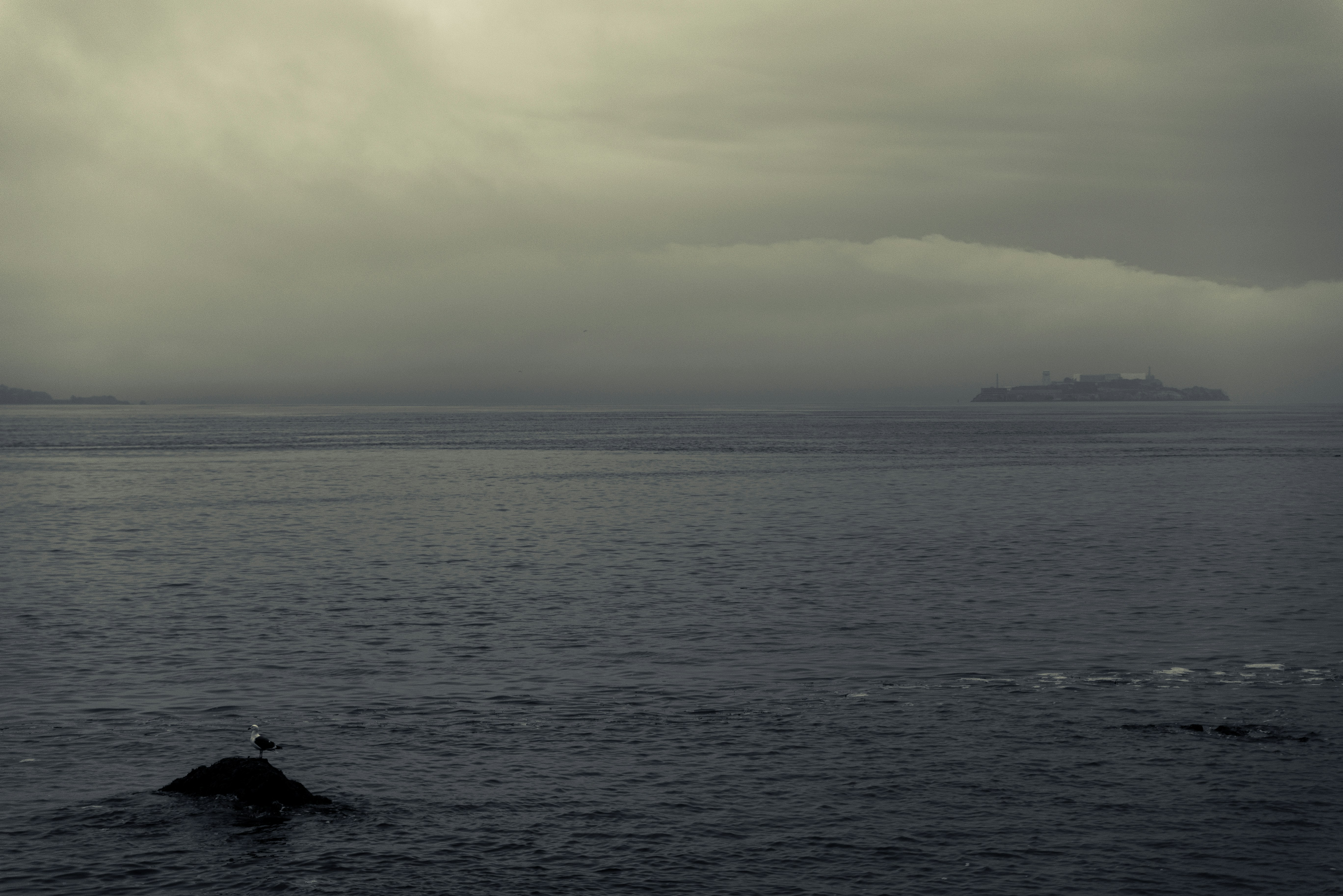 Photo by mischievous_penguins