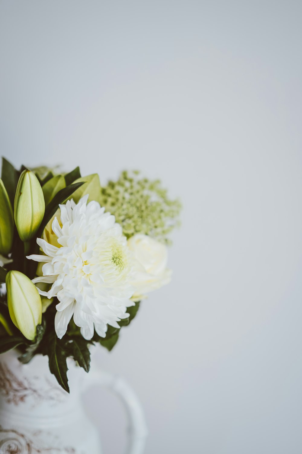 white petaled flower near white painted wal