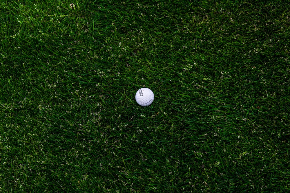 white golf ball