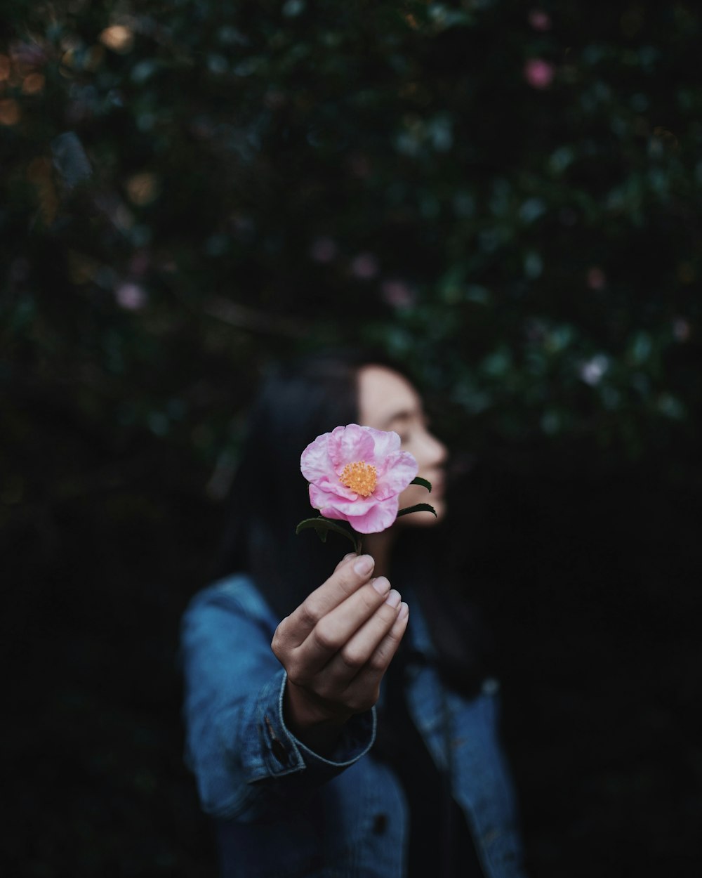 분홍색 꽃잎이 달린 꽃을 들고 있는 여자의 선택적 초점 사진