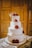 A three-tiered white wedding cake adorned with intricate icing patterns and decorated with red roses. The cake is embellished with strings of pearls and is set on a lace-covered table. Soft, warm lighting casts a subtle glow on the cake, highlighting its elegant design. A small decorative sign with initials is placed on the top tier.