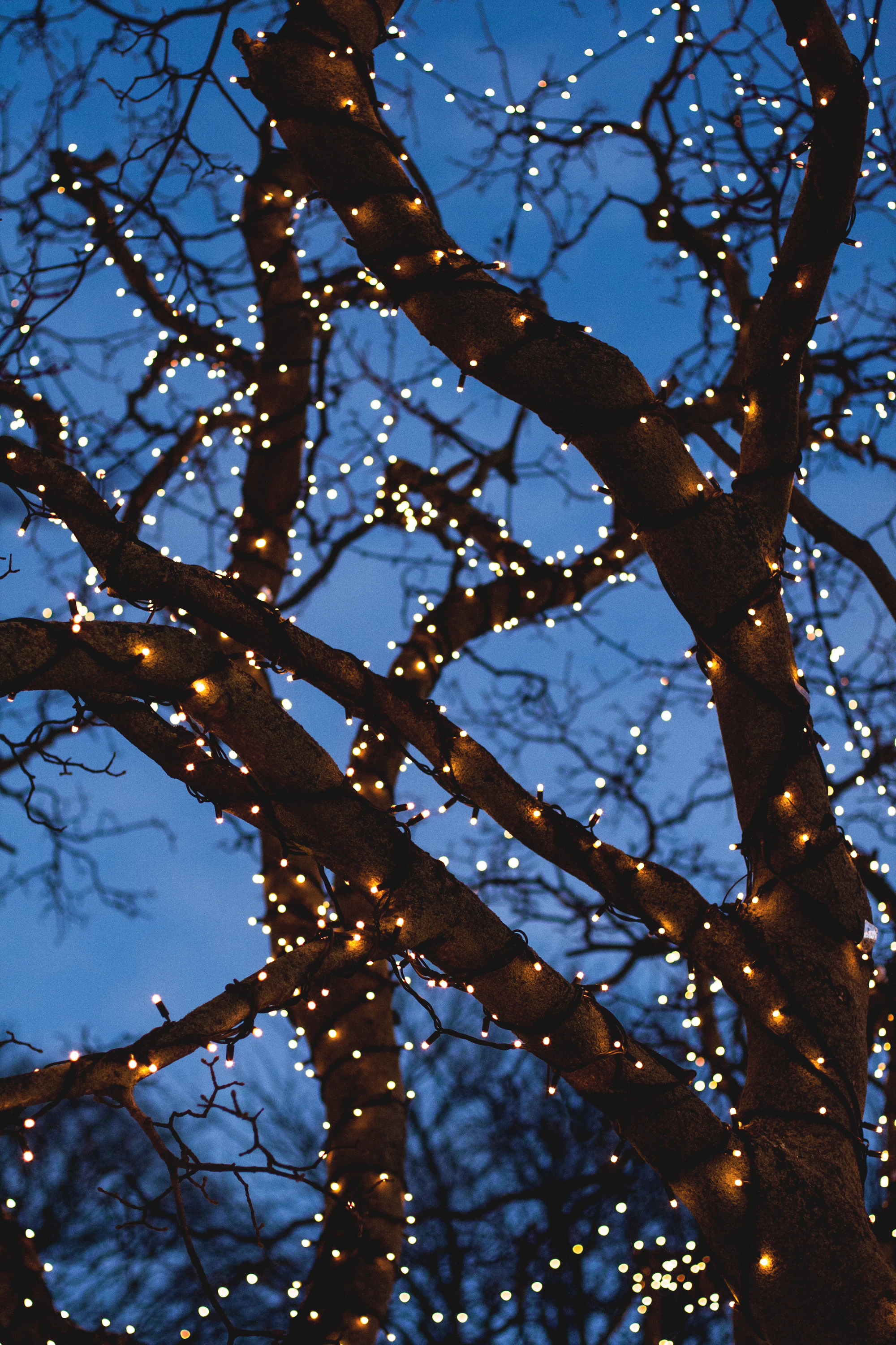 Christmas in Broken Bow: lights, traditions and a cabin holiday