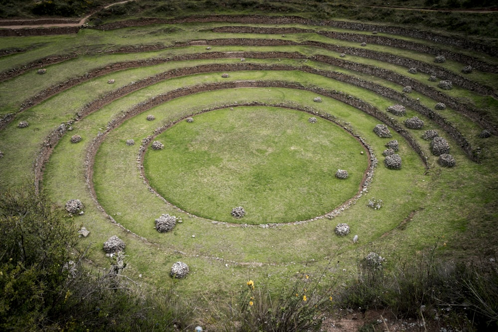 Foto del campo de hierba verde