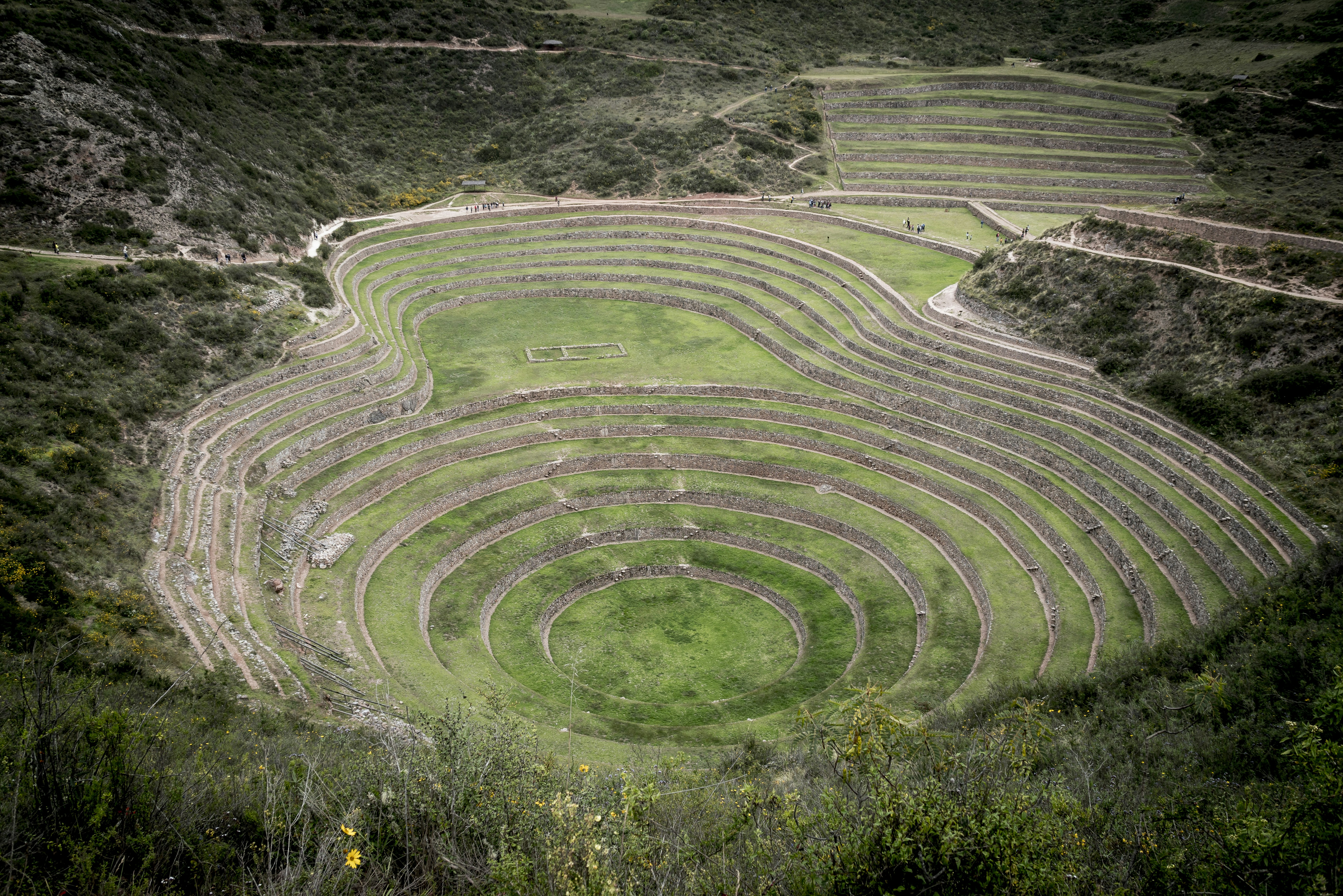 agricultural