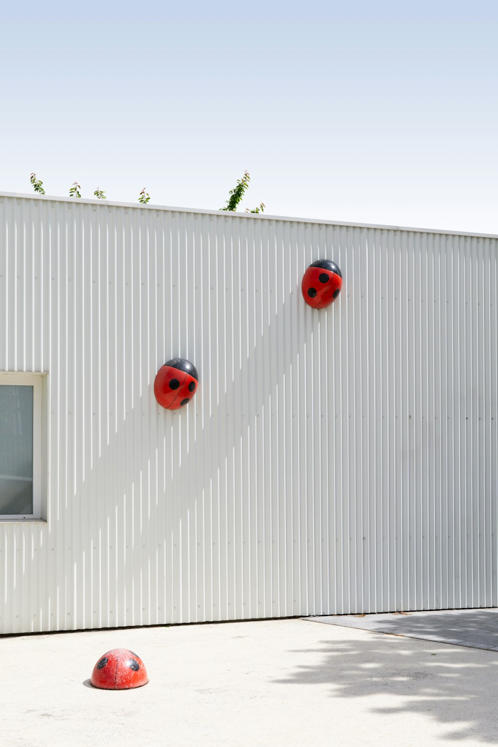 lady bug wall decors