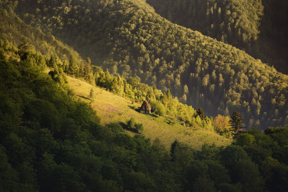 aerial photography of mountains and trees during daytime