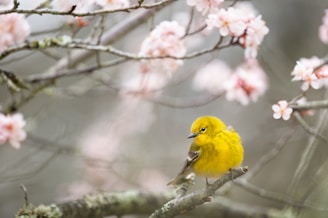 A curious yellow bird perched on a whimsical tree branch, surrounded by soft pastel leaves.