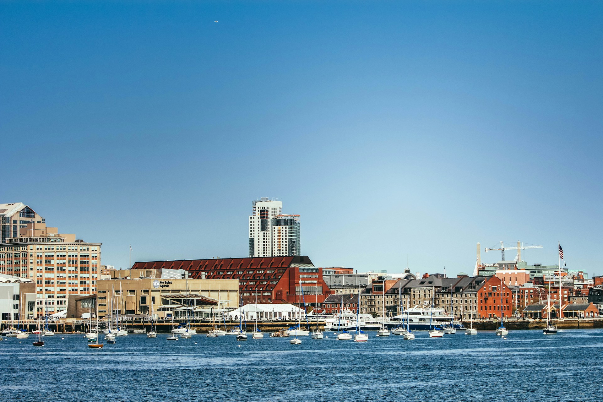 woman wearing yellow long-sleeved dress under white clouds and blue sky during daytime