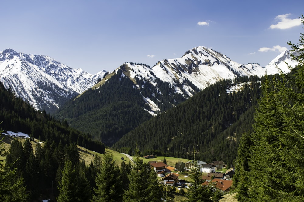 houses beside forest and near mountain during day time