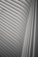 minimalist photography of white archway