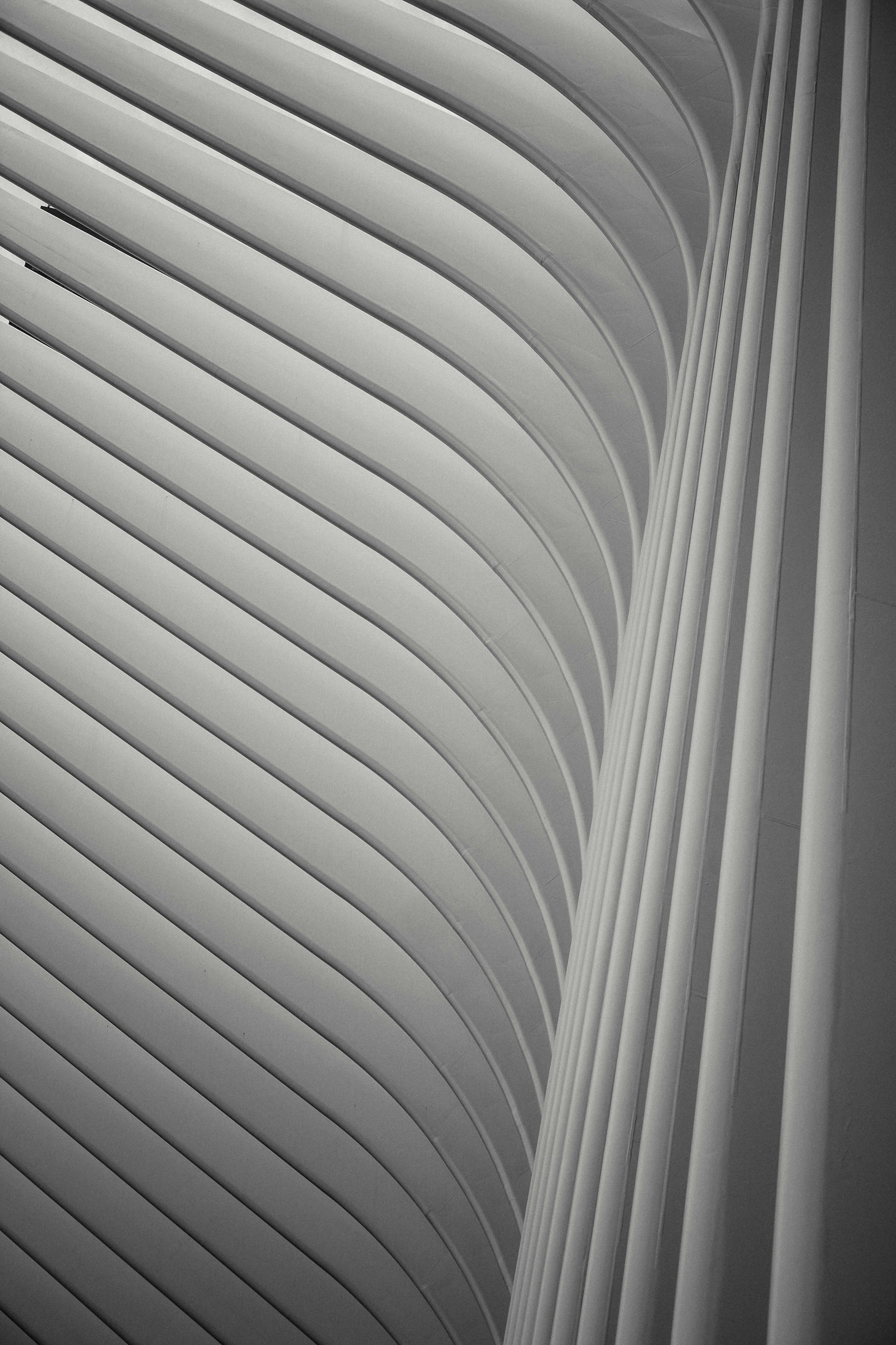 minimalist photography of white archway