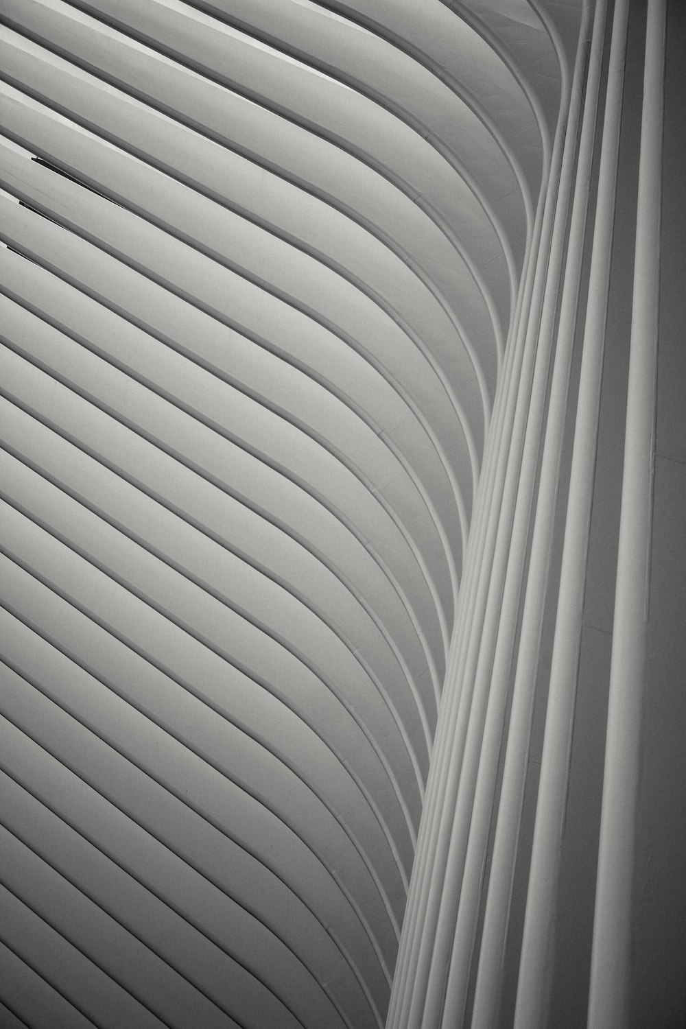minimalist photography of white archway