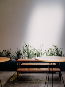 A minimalistic indoor setting features a wooden bench and table set against a white wall. Potted green plants with long leaves are placed between the furniture and the wall, adding a natural element. The concrete floor has visible cracks and marks, providing a rustic touch to the scene, highlighted by focused lighting.