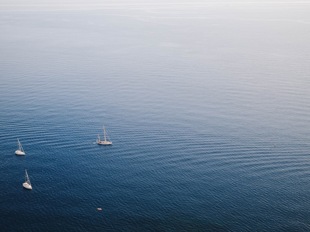 aerial photo of a body of water and fishing vessels