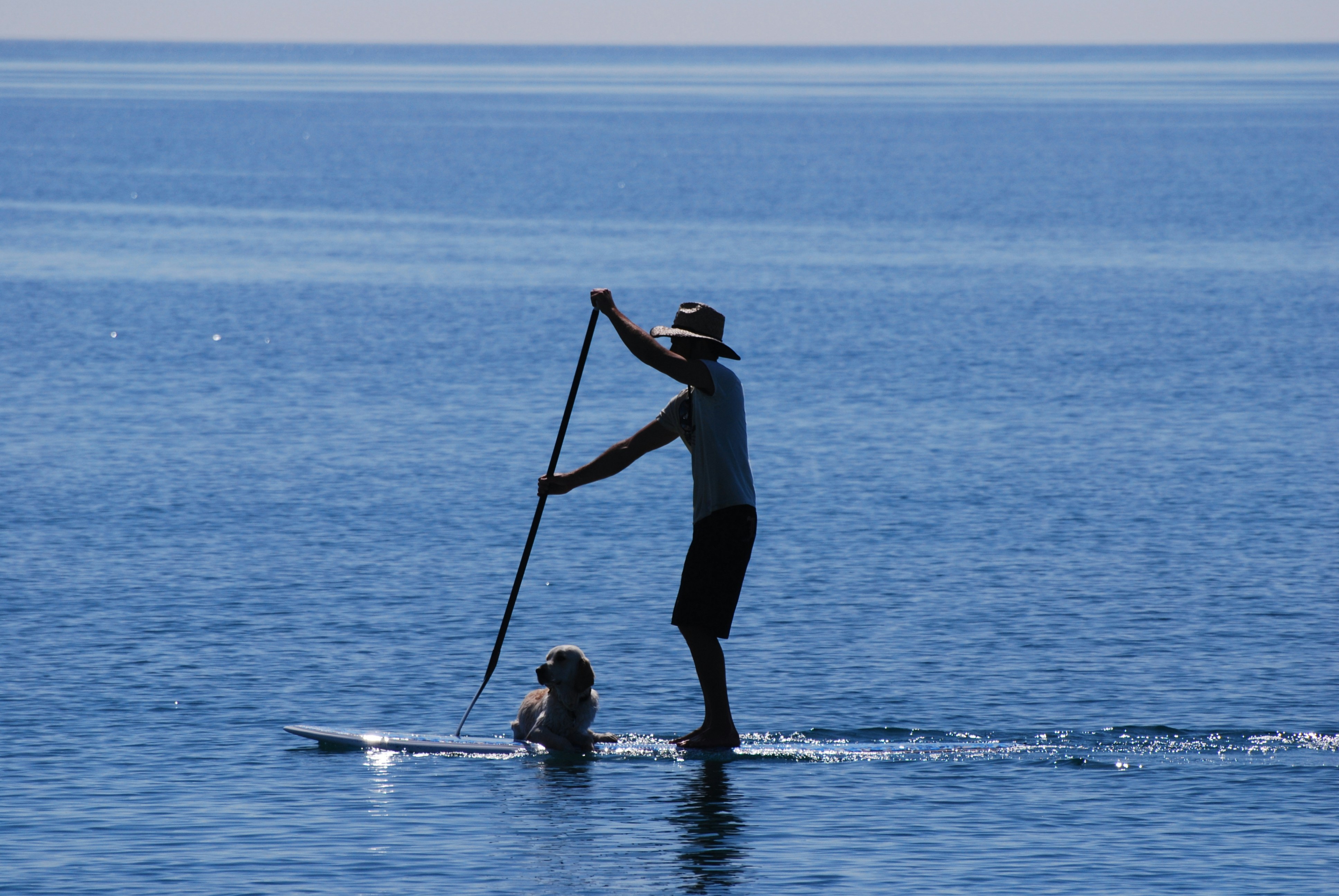 How to Choose the Right Stand Up Paddleboard