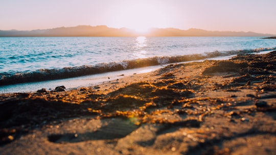 body of water in Punta Chueca Mexico