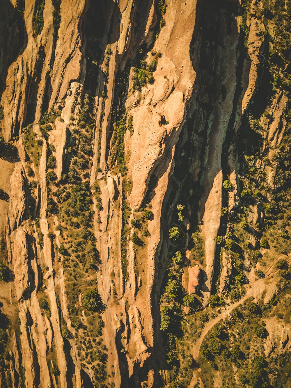 aerial photography of mountain with green trees