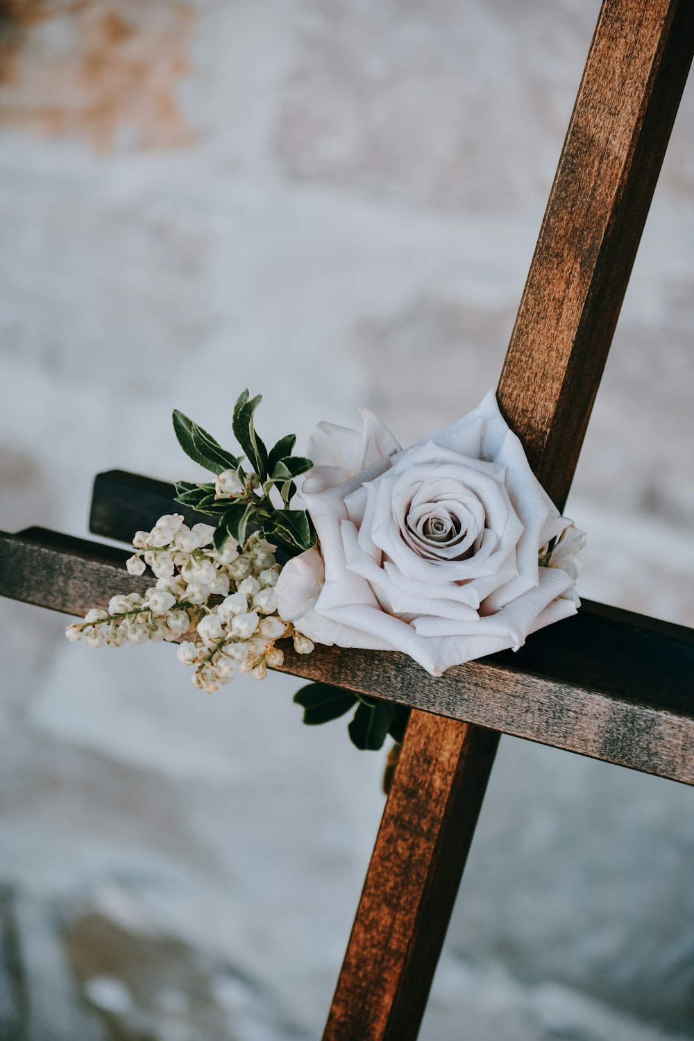 white rose flower on brown cross