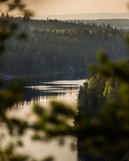river surround by trees in Republic of Karelia Russia