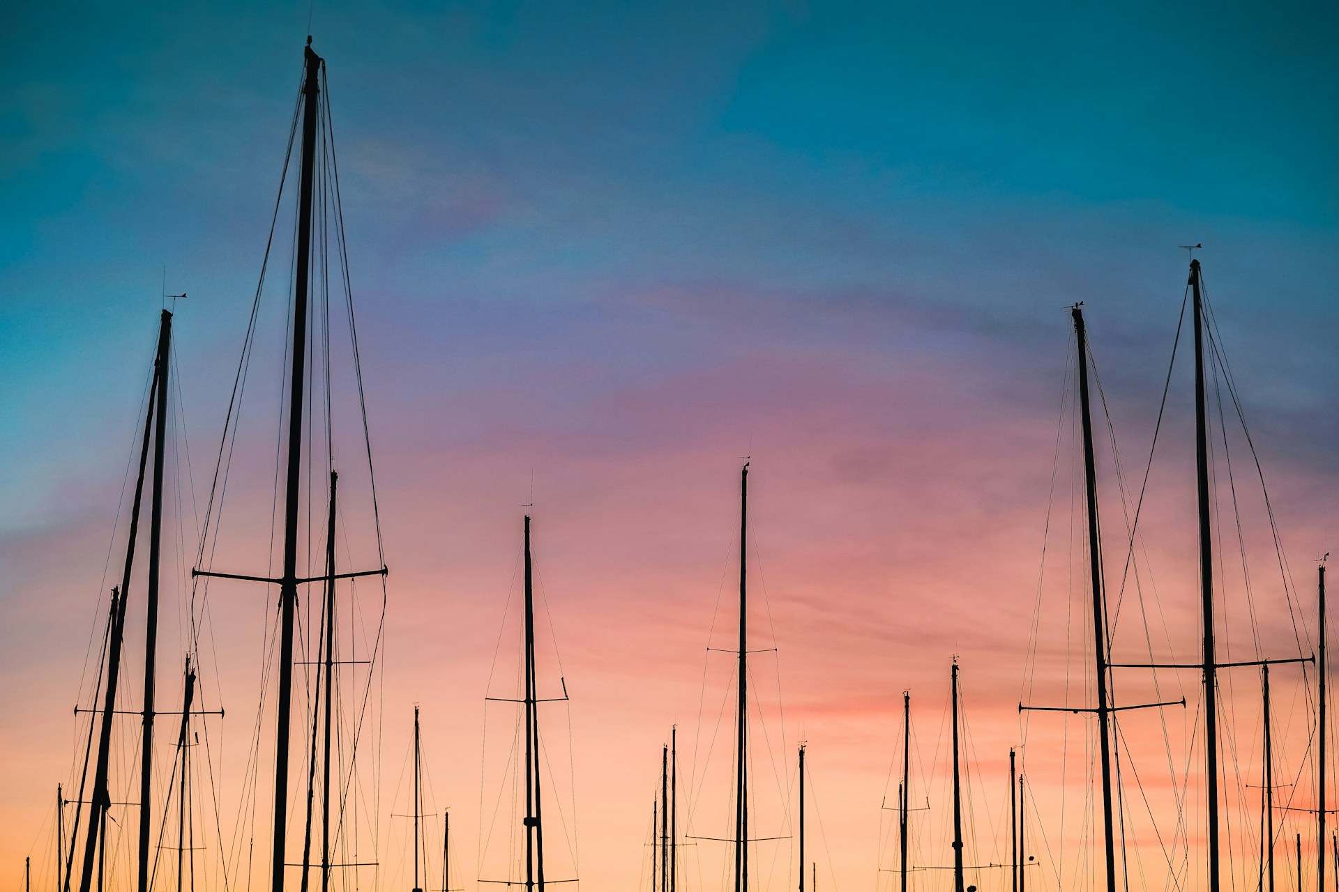 silhouette photography of sailboats
