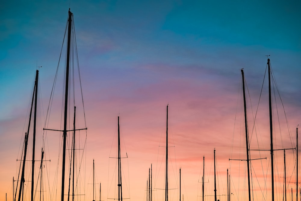 silhouette photography of sailboats