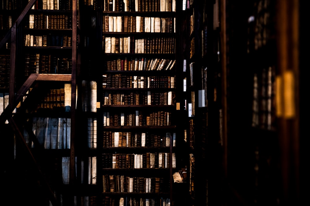 books on bookcase