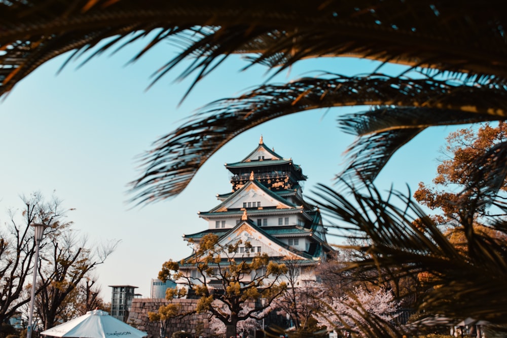 pagoda near trees